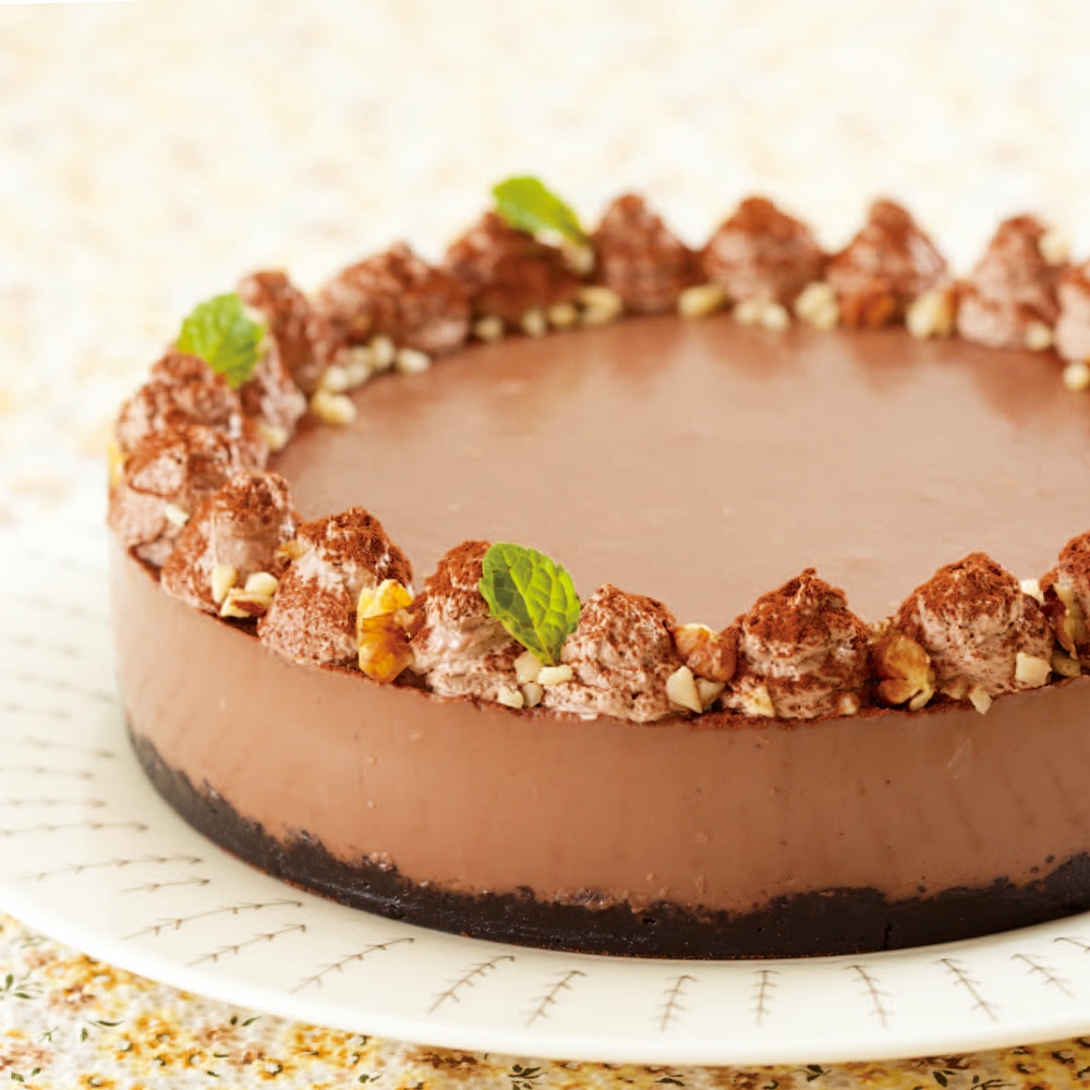 ババロリア チョコレート味 5袋入