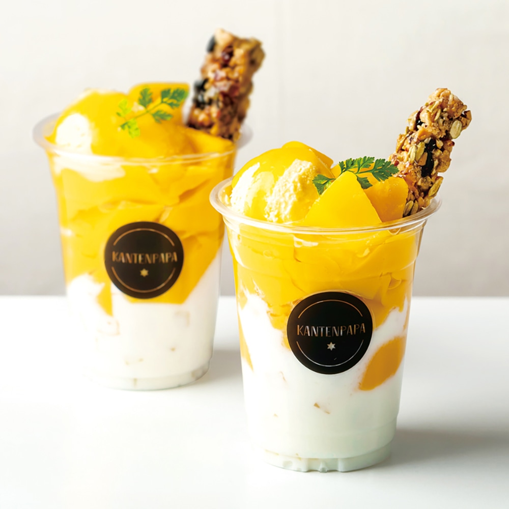 マンゴープリンの素 5袋入